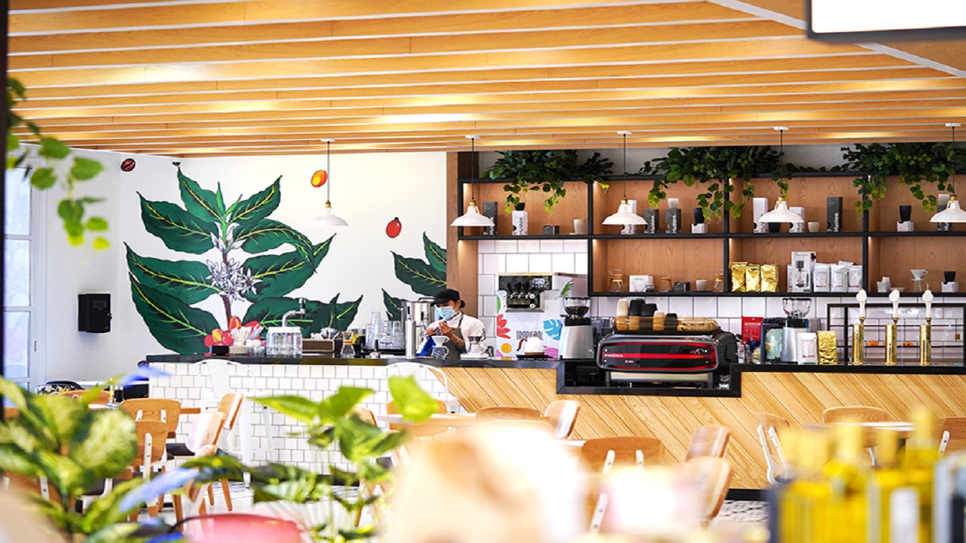 Rogue-Coffee-View+(desktop)