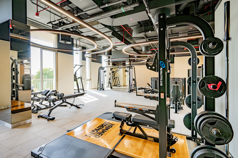 fitness and wellness