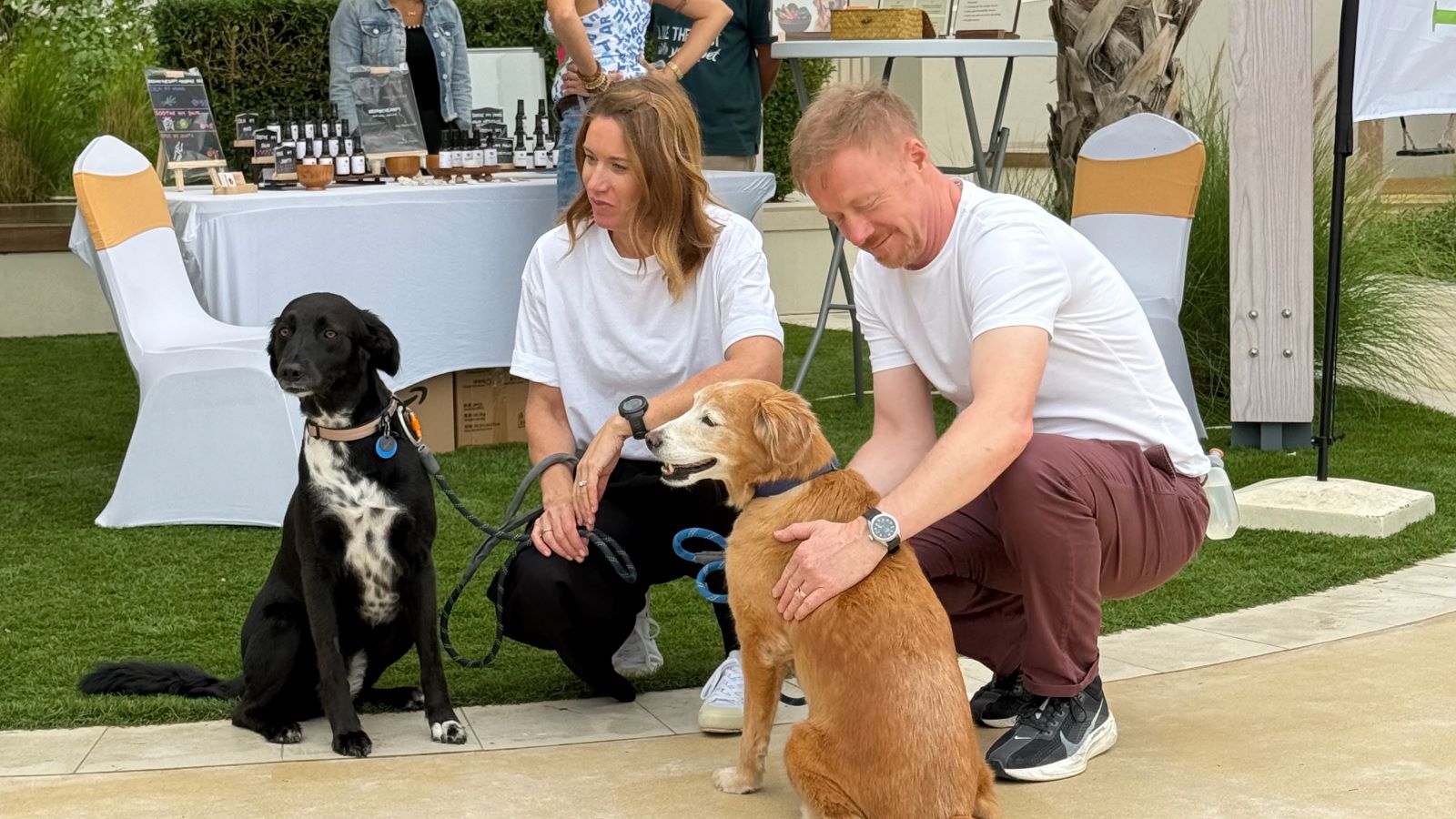 dfc_pet_event_al_badia_living